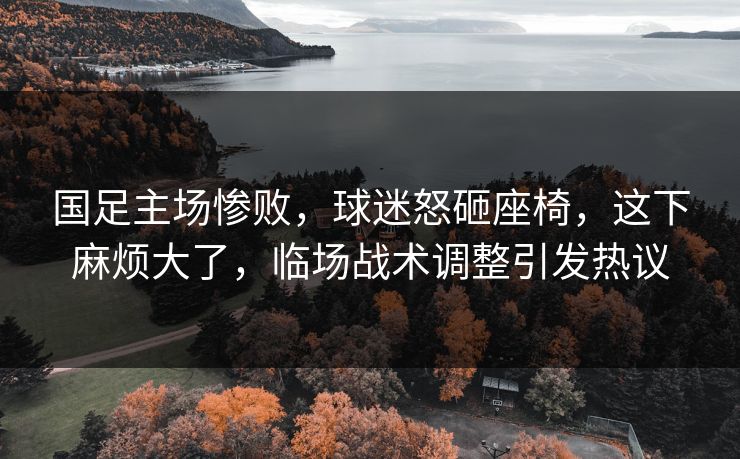 国足主场惨败，球迷怒砸座椅，这下麻烦大了，临场战术调整引发热议